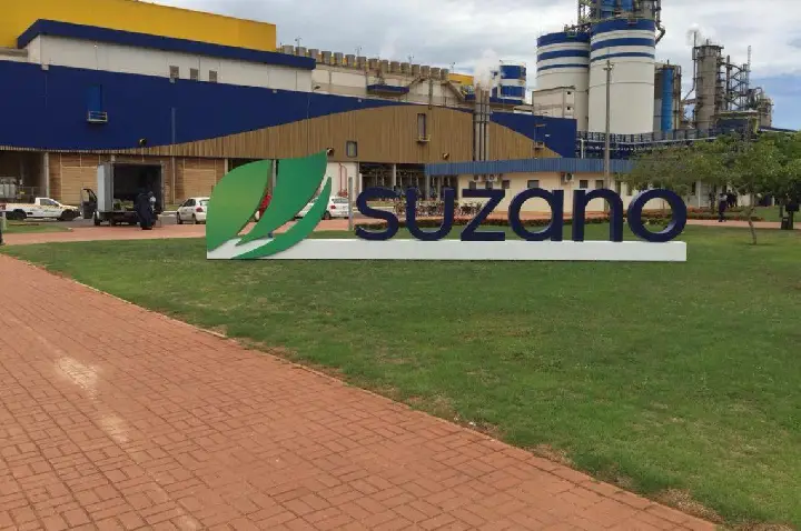 Suzano está com oportunidades de emprego em São Mateus, Aracruz e Serra