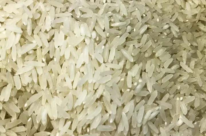 Terremoto: Brasil doará 10 toneladas de arroz à Colômbia