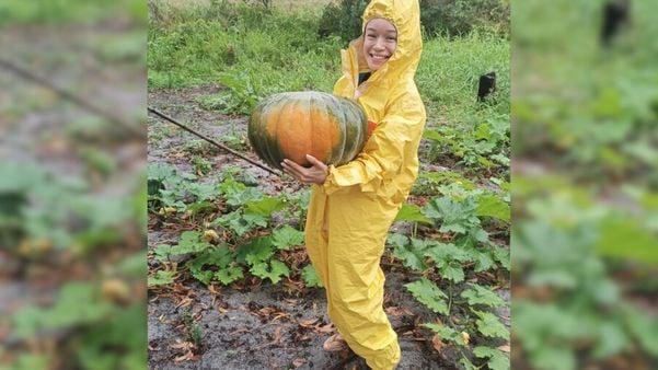Mulher colhe abóbora gigante de 16 kg no quintal de casa em Aracruz