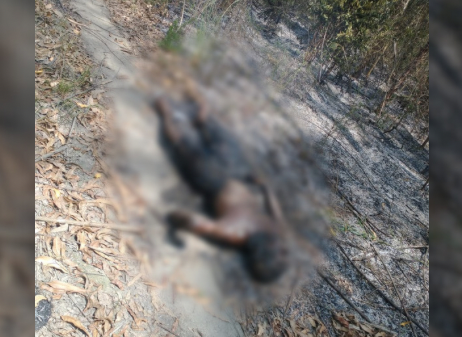 Corpo é encontrado carbonizado em plantação de eucalipto no Km 35, em São Mateus