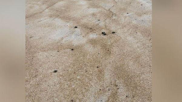 Vazamento de ‘água oleosa’ atinge praia de Barra Nova em São Mateus