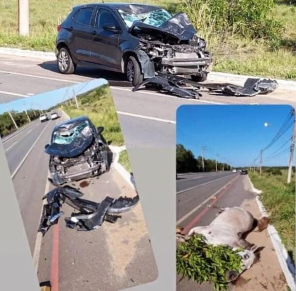 Acidente grave, colisão de um carro com um cavalo, na rodovia sentido Guriri ES