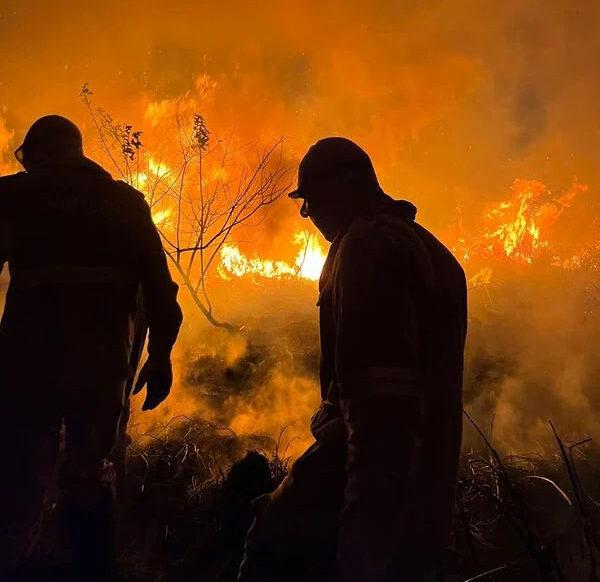 Incêndio atinge área de vegetação em São Mateus