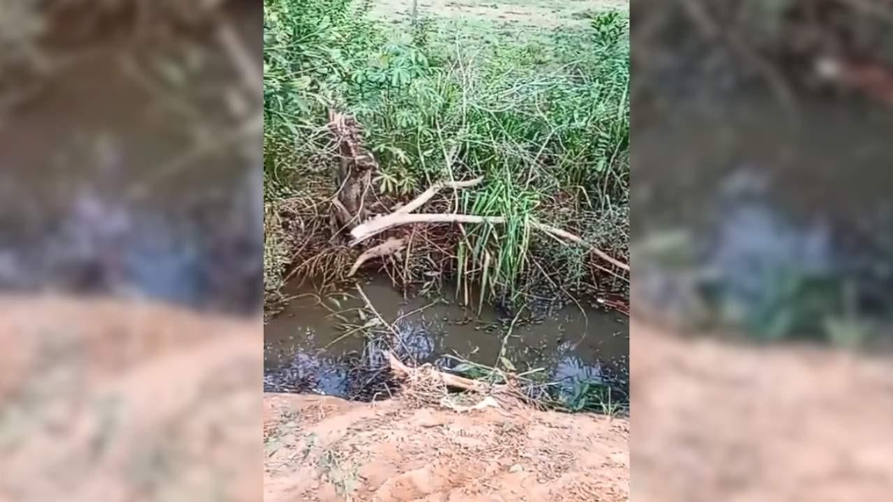 Mulher morre após ser sequestrada em praça e bandido capotar com carro