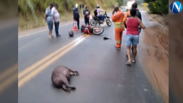 Piloto morre após bater em capivara e ser atropelado por carro em Colatina