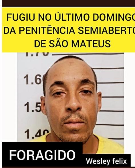 Fugitivo da Penitenciária Semiaberta, foi encontrada no Ribeirão - São Mateus -ES