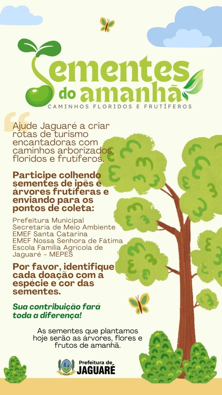 SEMENTES DO AMANHÃ