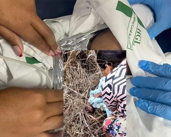 Recém-nascido é encontrado abandonado em área de mata no Norte do ES