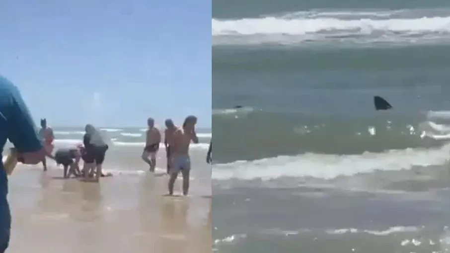 Tubarão ataca banhistas e transforma praia em filme de terror