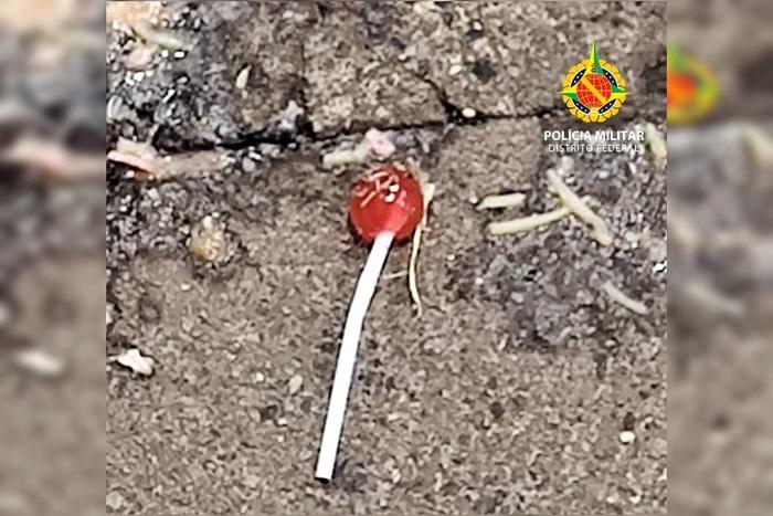 Bebê de 2 anos se engasga após engolir pirulito com cabo e tudo
