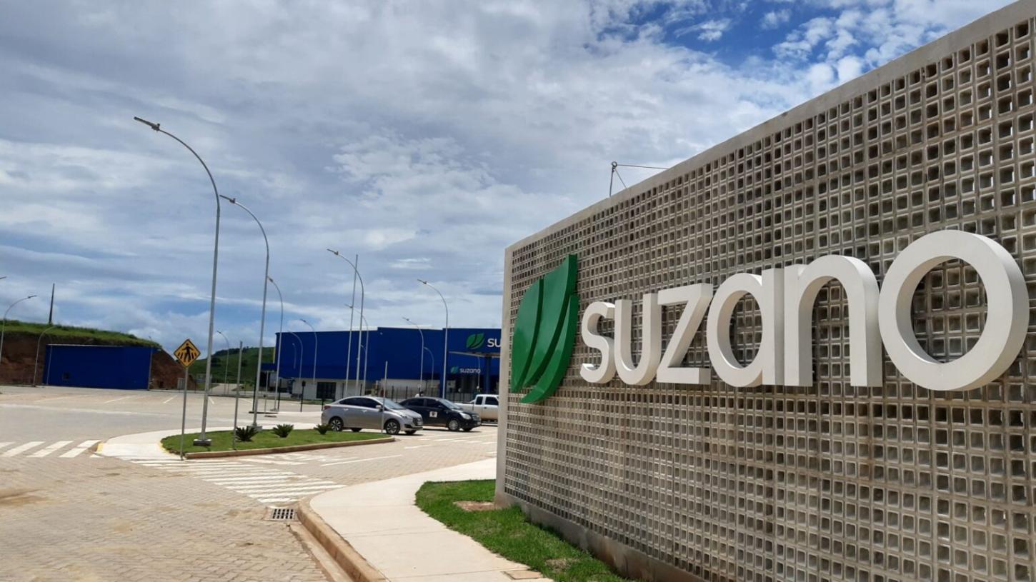 Suzano abre inscrições para o Estágio Superior 2025
