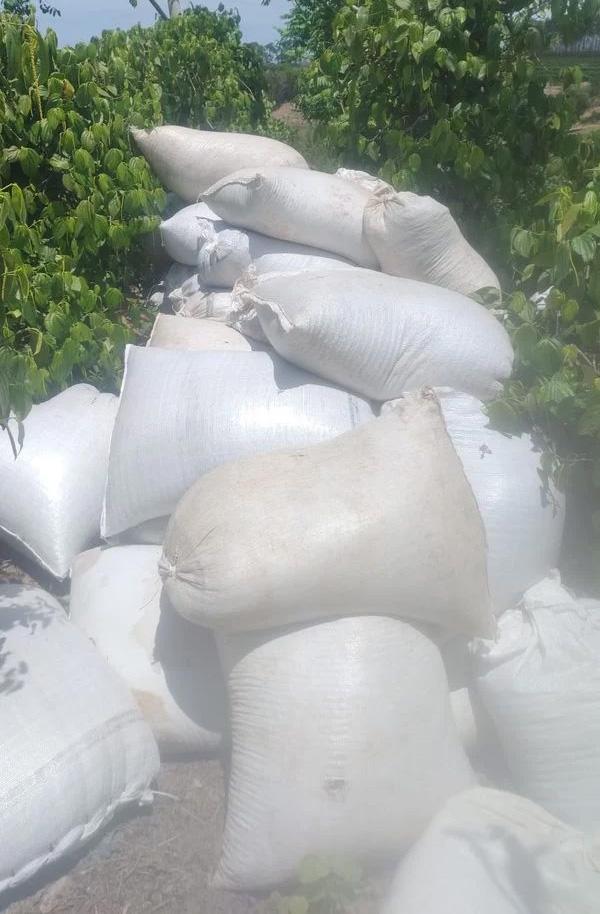 Agricultor é feito refém por horas e trio rouba 3 toneladas de pimenta no Norte do ES