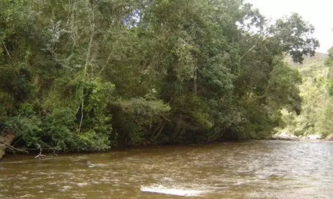 Bebê de 11 meses morre após ser jogada no rio pela própria mãe