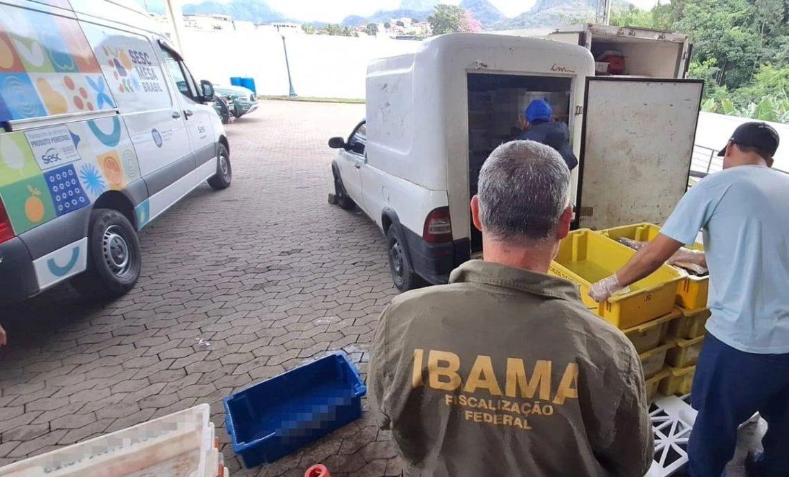 Operação do Ibama na BR 101 apreende mais de 7 toneladas de peixes e frutos do mar em São Mateus