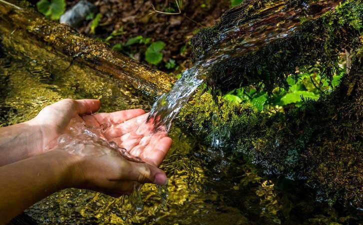 Jaguaré avança na preservação ambiental com o Programa “Nascentes Vivas. Cada Nascente Conta”